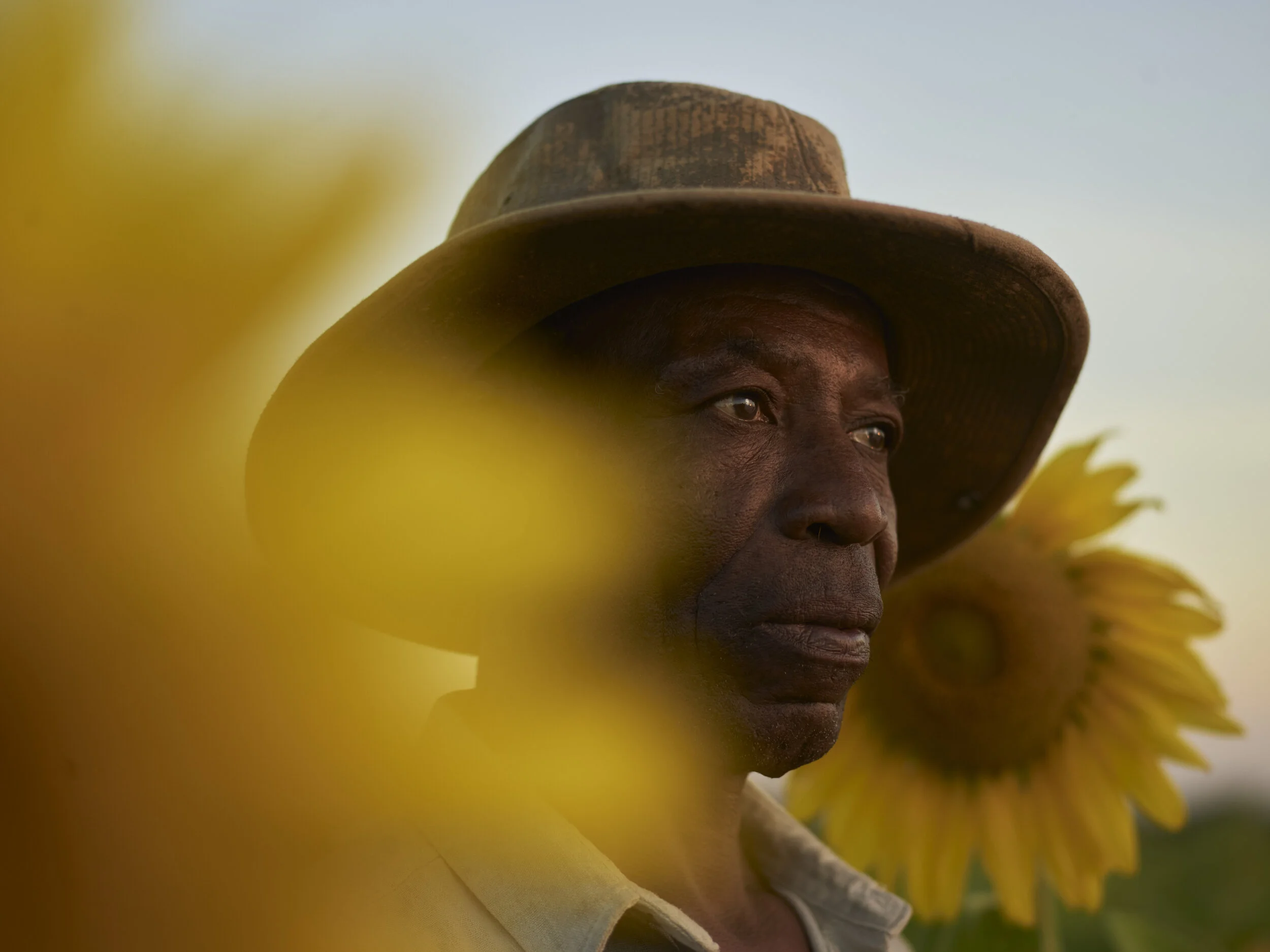 DUP_72682_008B_ManInSunflowers_rgb.jpg