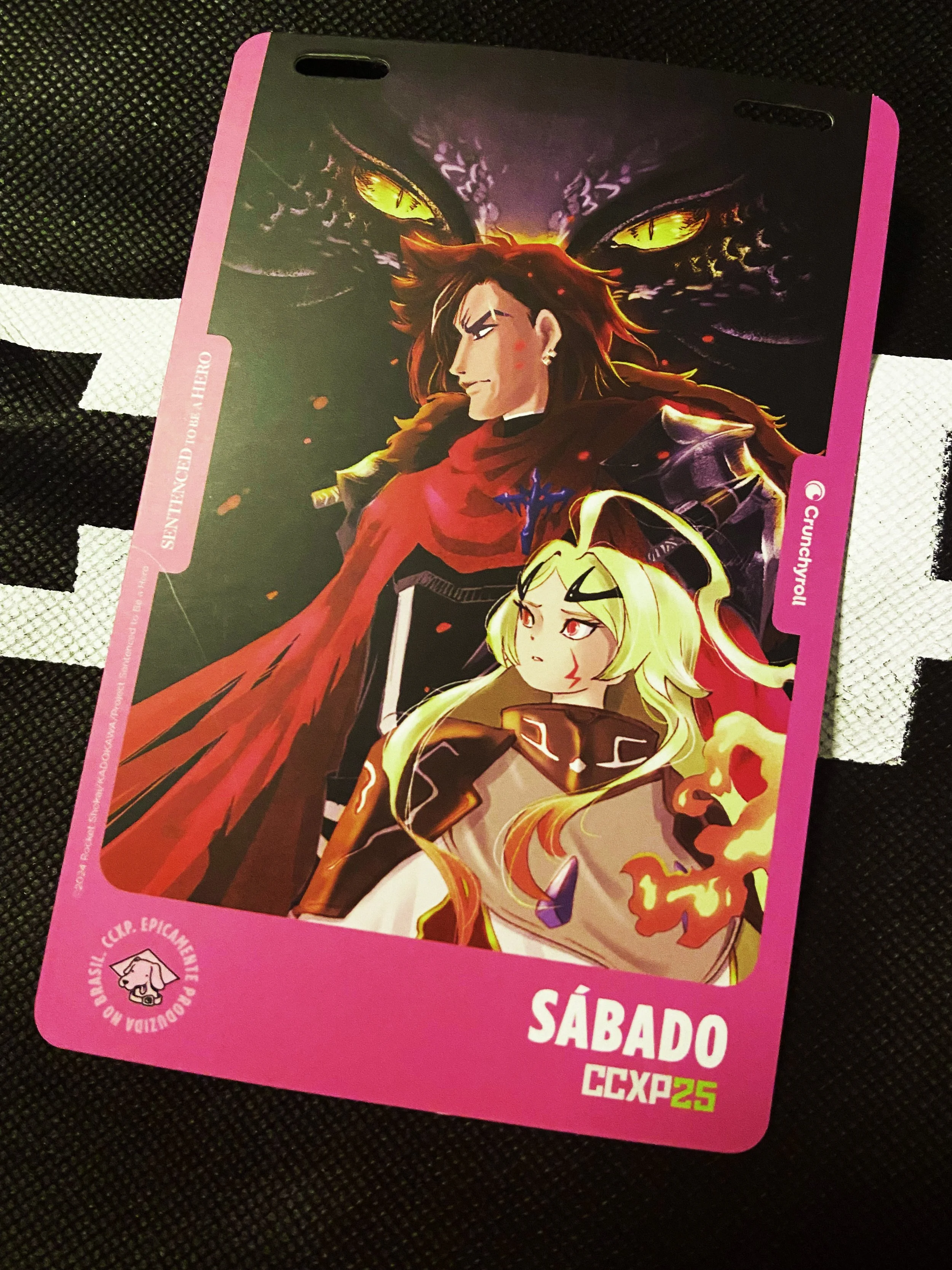 CREDENCIAL - SÁBADO - CCXP 2025