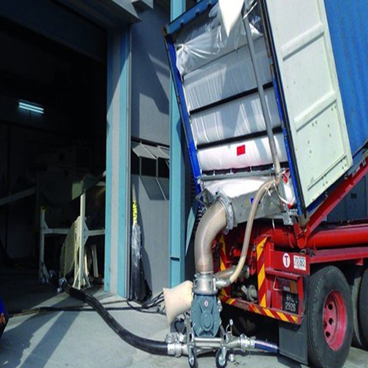 Silvana Plata - container2.png