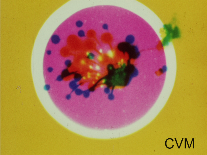 CVM_Bute_ColorRh-29229_cb.png