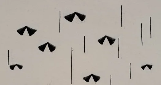 ForFUNDR-CVM_St8_32bDETAIL.jpg