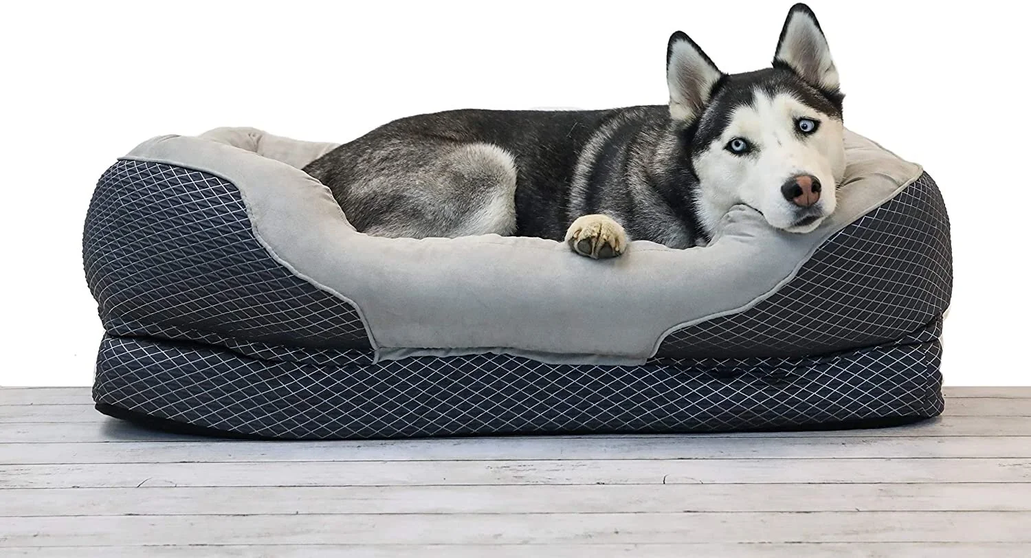 dogbed.jpg