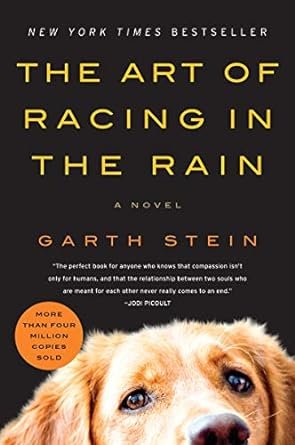 The Art Of Racing In The Rain.jpg
