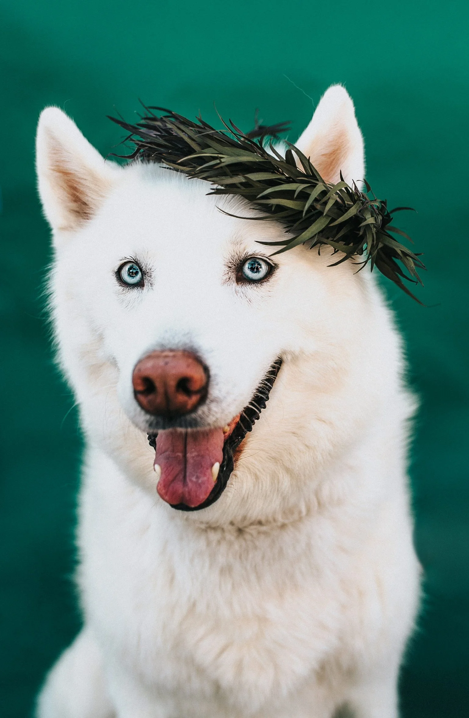 A Year Of Missing You