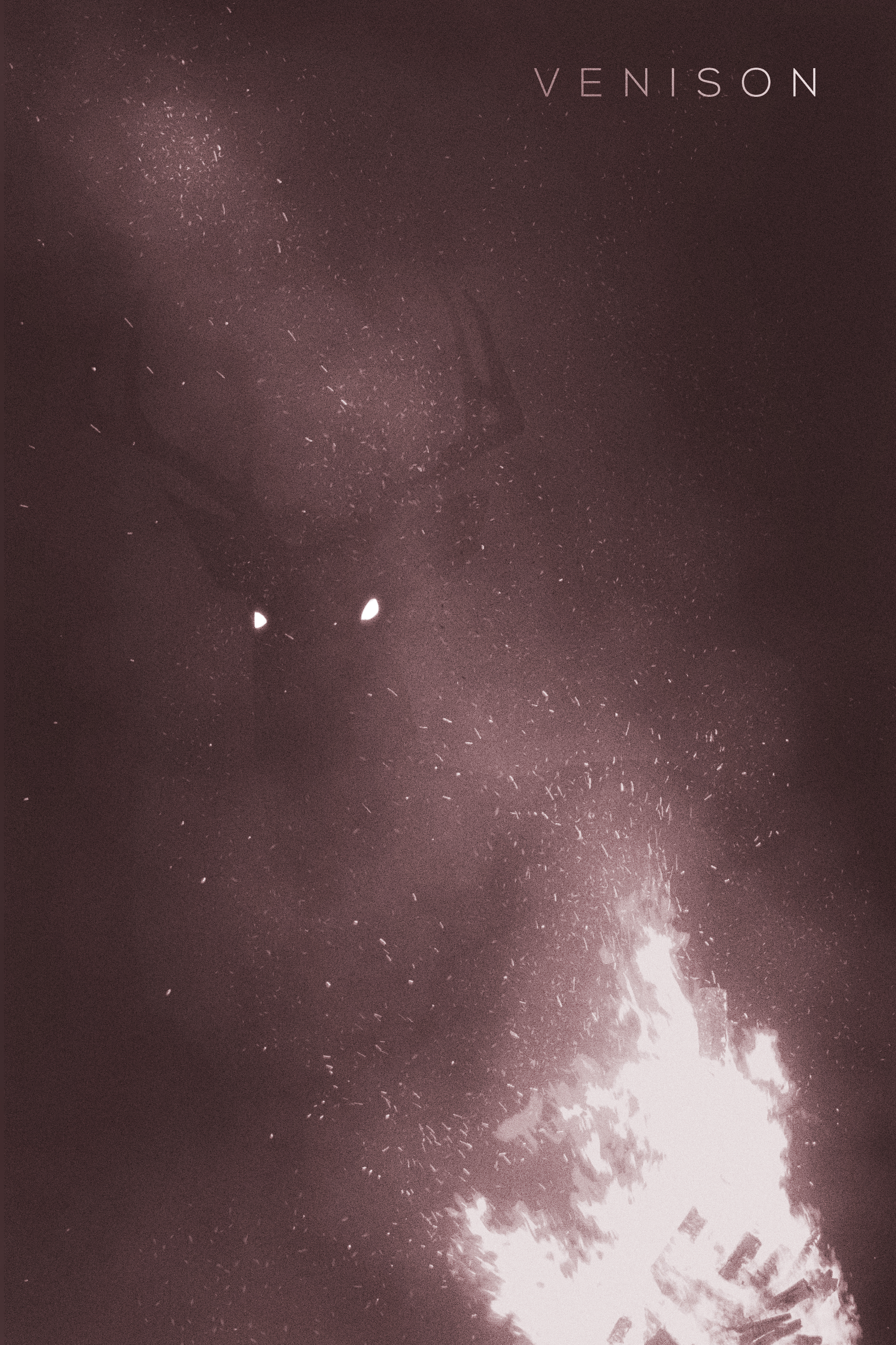 Through-Fire.jpg
