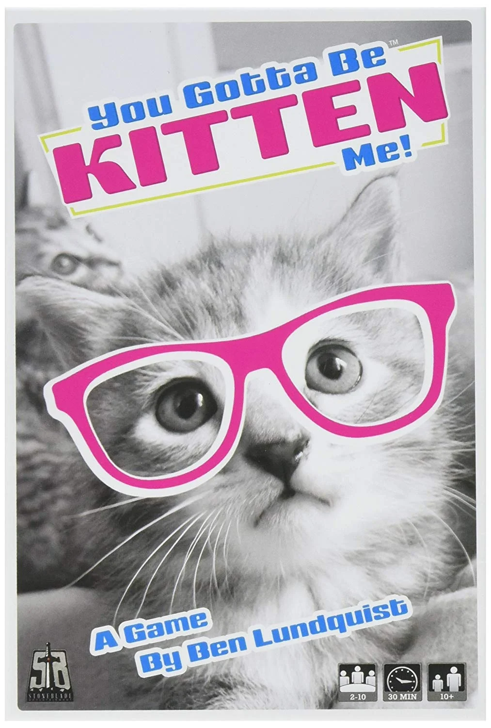Kitten.jpg