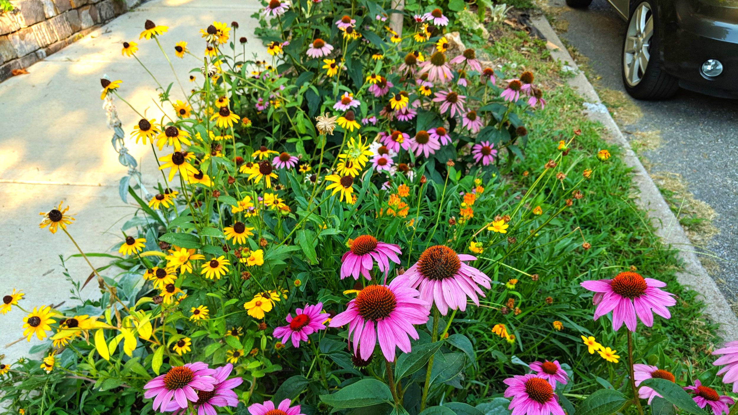 MVIMG_20180710_075531.jpg