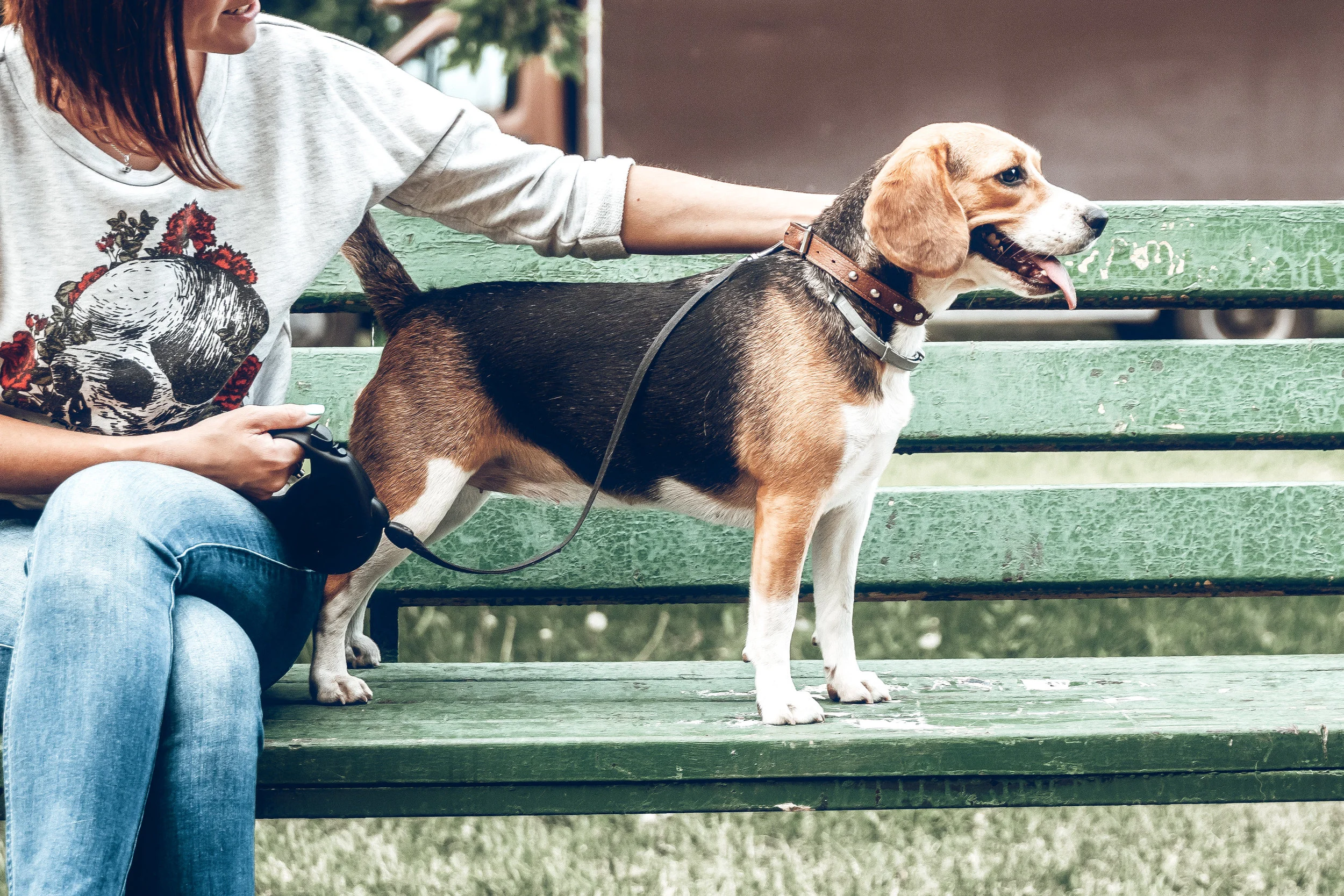 earthborn holistic dcm