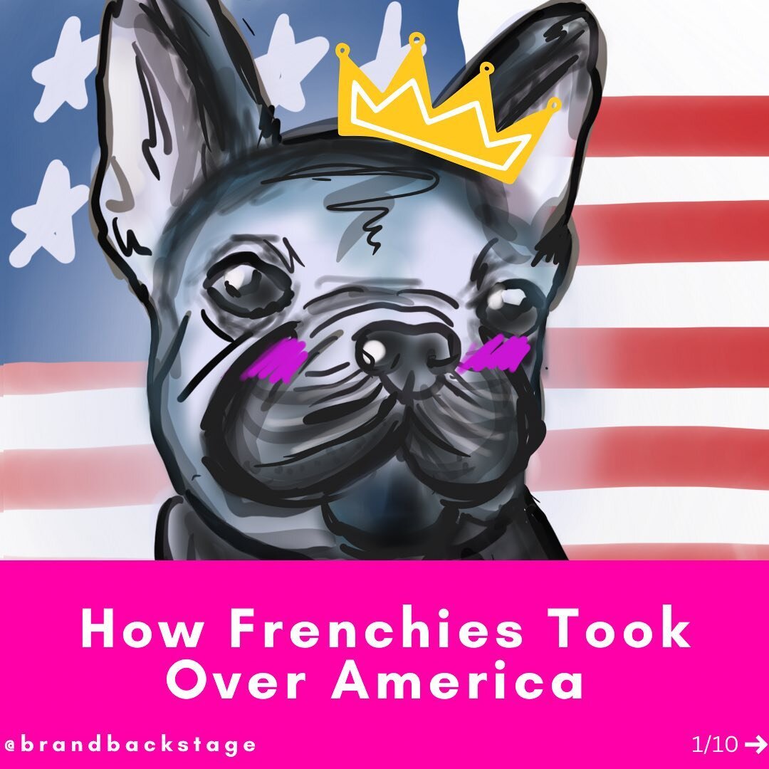 Is there anything more American than a French bulldog? 

For the first time in 31 years, French Bulldogs overtook Labrador Retrievers as the country&rsquo;s most popular dog. With fewer Millennial adults having kids, Frenchies are riding the wave of 