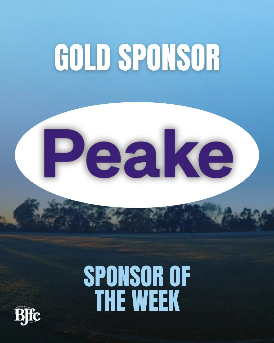 Thank you to our Gold Sponsor @peakerealestate  for backing our club and our community this season. Your support goes a long way! 💙

#BJFC #GoWickers #Peake #GoldSponsor