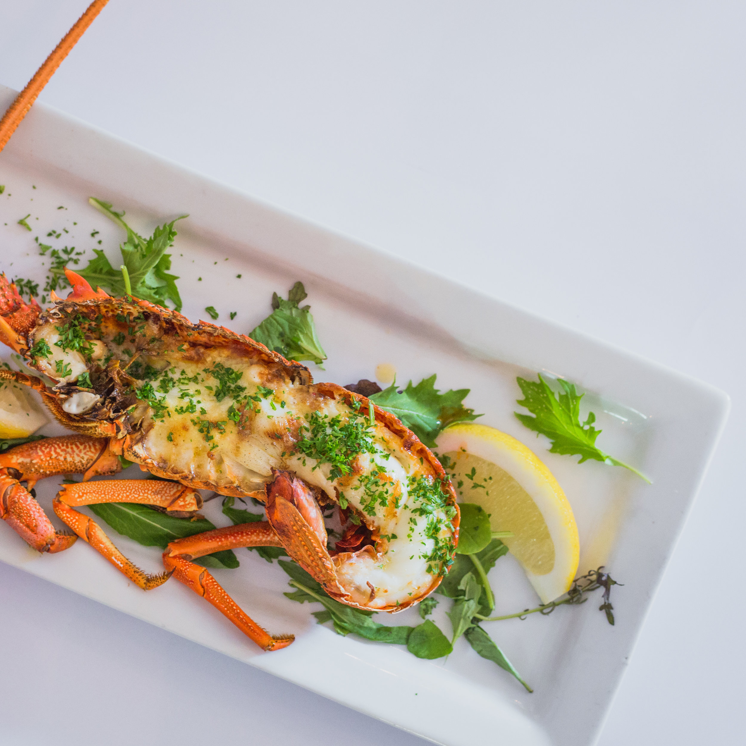 Finz Seafood & Grill