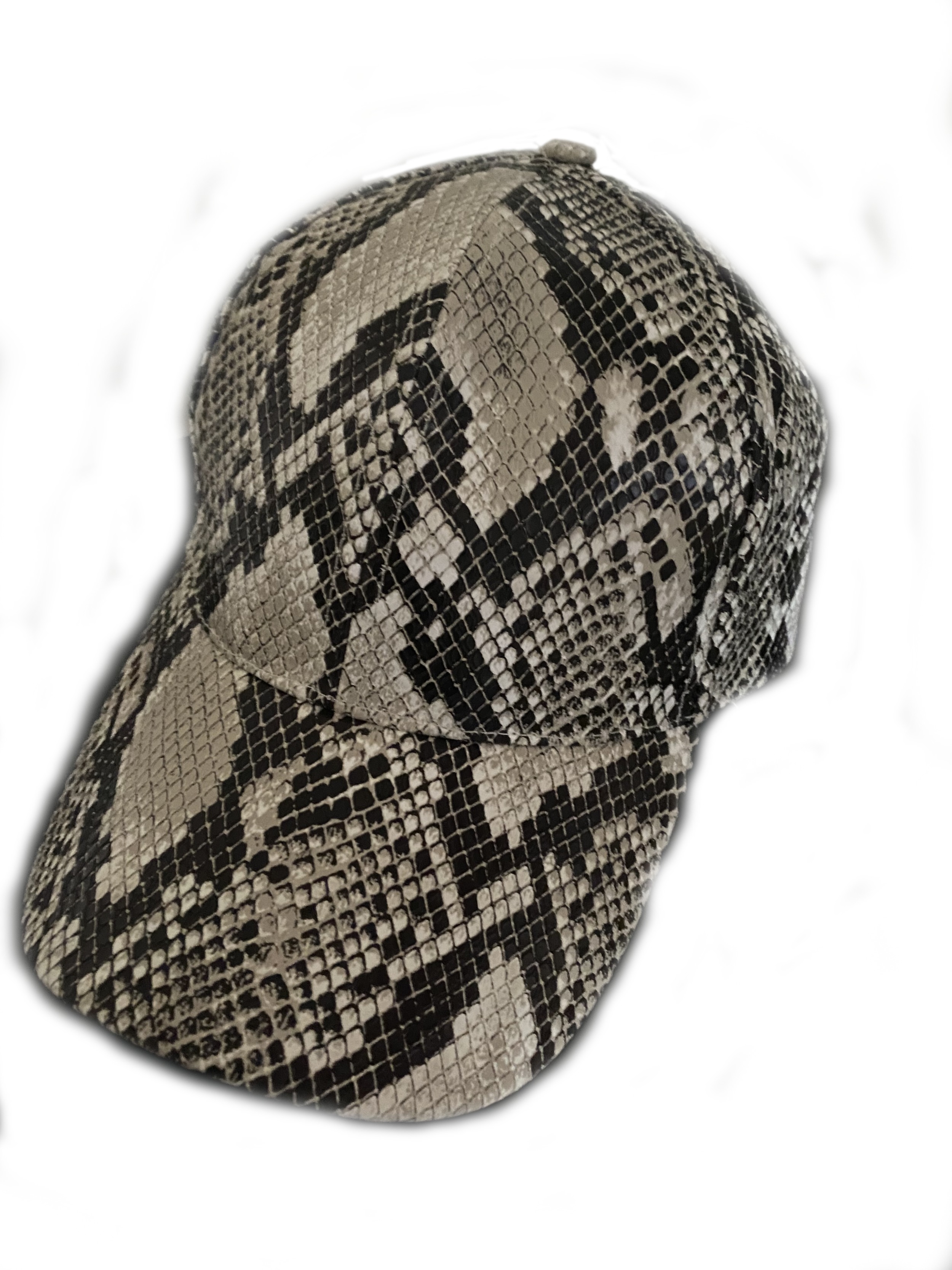 snake hat no bk.png