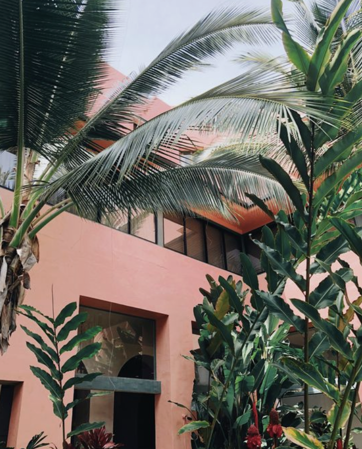 pink house.png