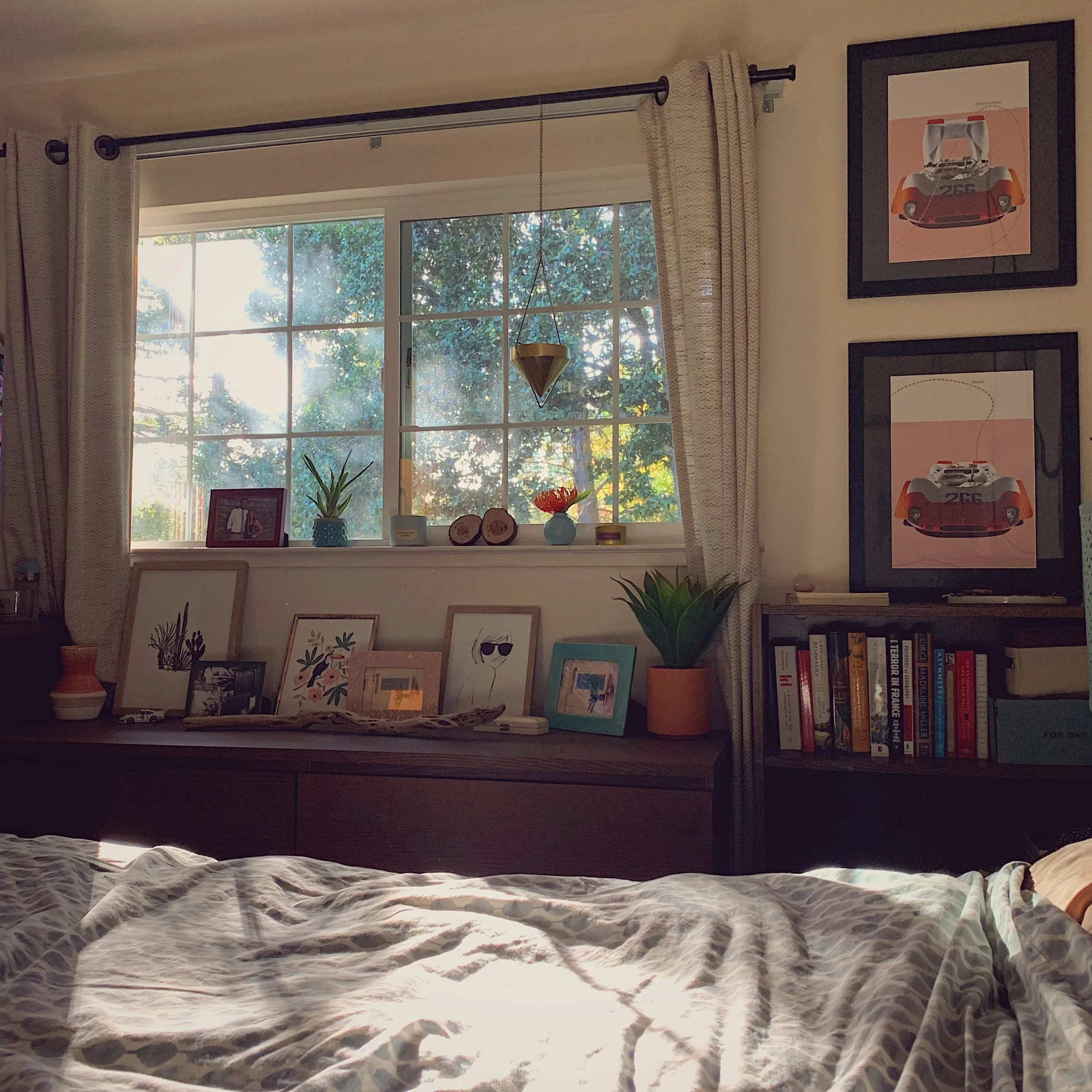 A79DB198-AEA6-41CD-9582-1DB5295AD659.jpeg
