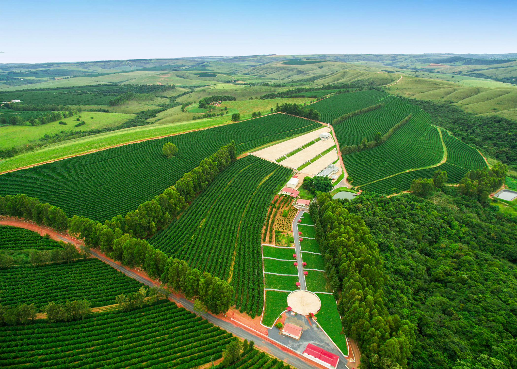 serrinha Farm121.png