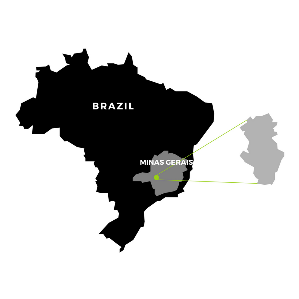 BRAZIL MAP.png