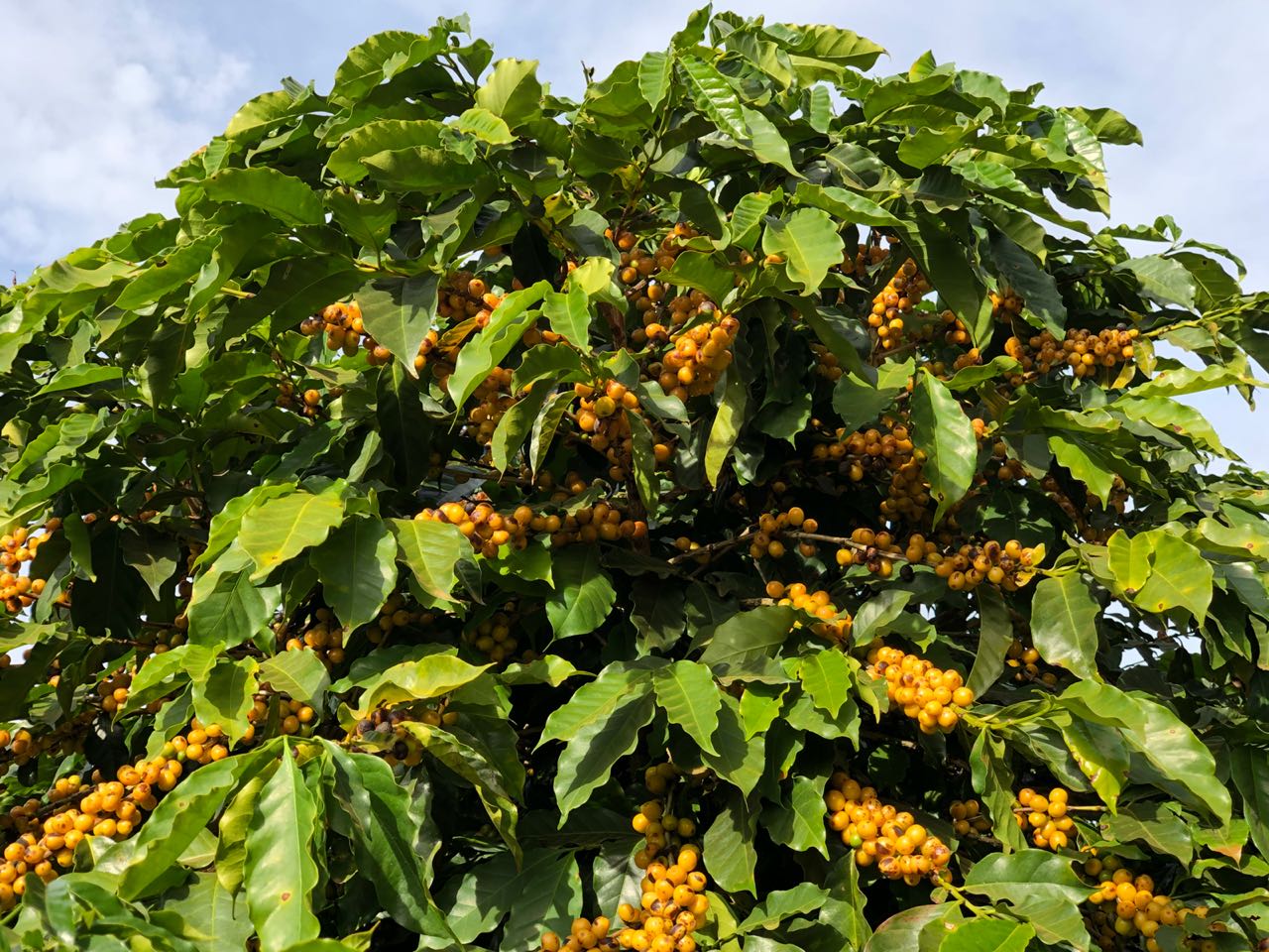 3bdbf8e8-8b78-473c-974d-f70f69100b12.jpg