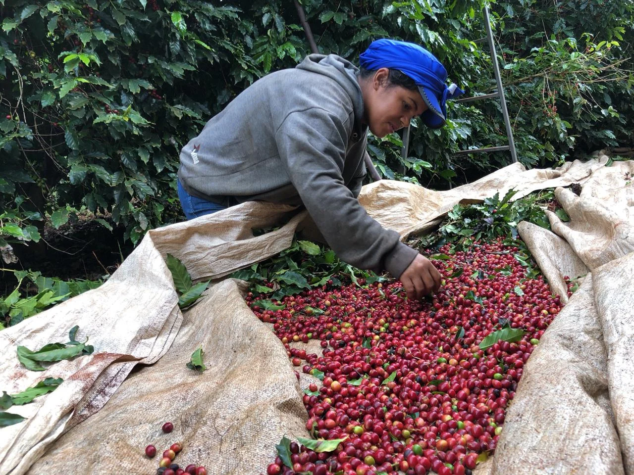 WhatsApp Image 2018-12-19 at 11.25.34 AM.jpeg