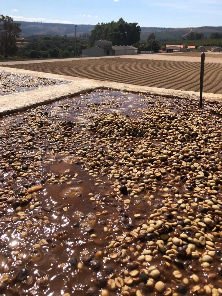 WhatsApp Image 2019-02-06 at 4.50.55 PM.jpeg