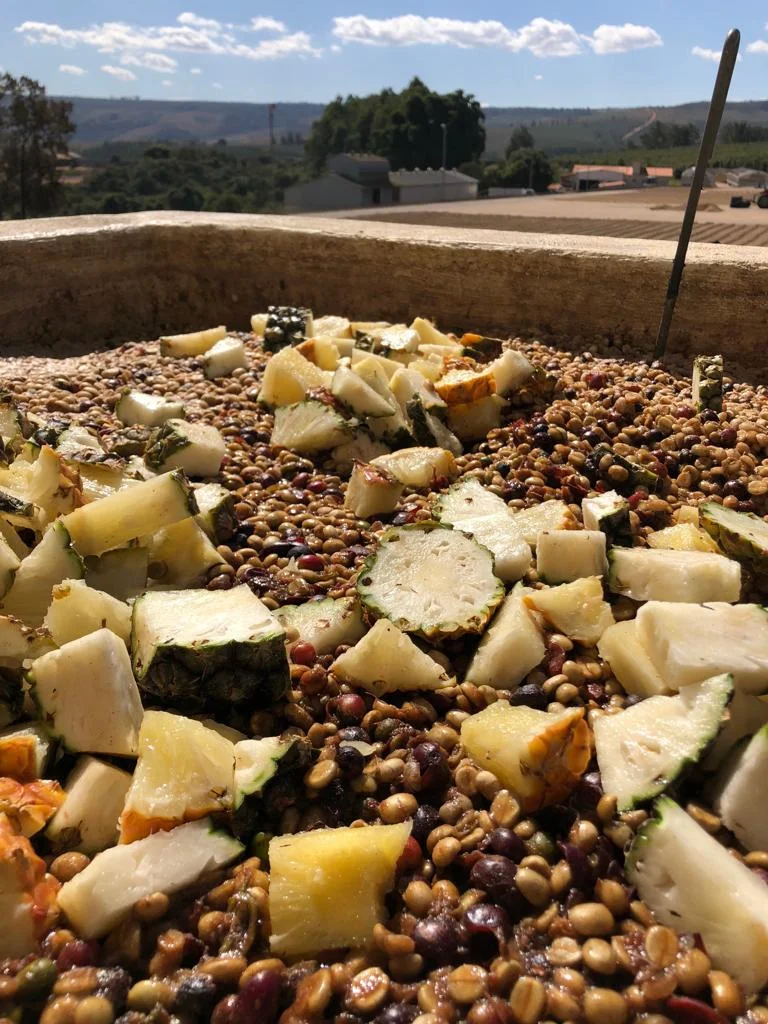 WhatsApp Image 2019-02-06 at 4.50.54 PM (2).jpeg