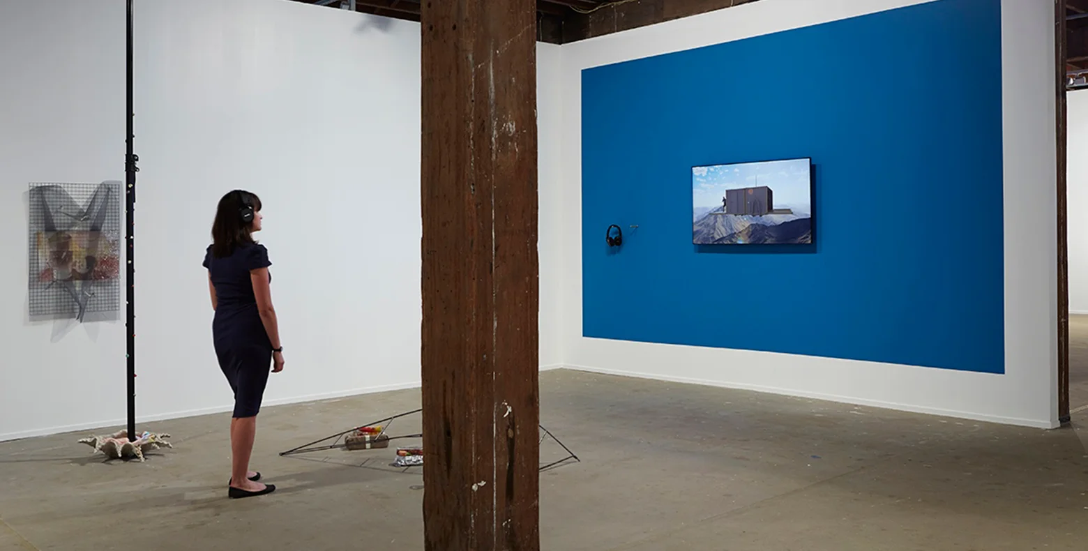 2014-nsw-visual-arts-fellowship-emerging-exhibition-image-8.jpg