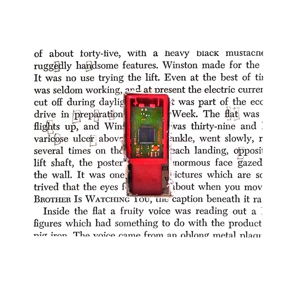 lingua franca object web.jpg