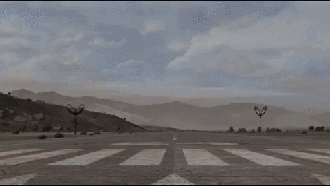 Cadence GIF-downsized_large (2).gif