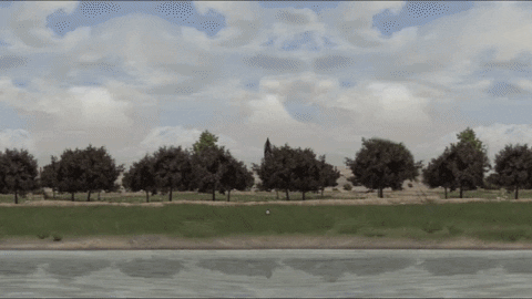 Cadence GIF-downsized_large (3).gif