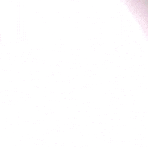 Animated GIF-downsized_large (2).gif