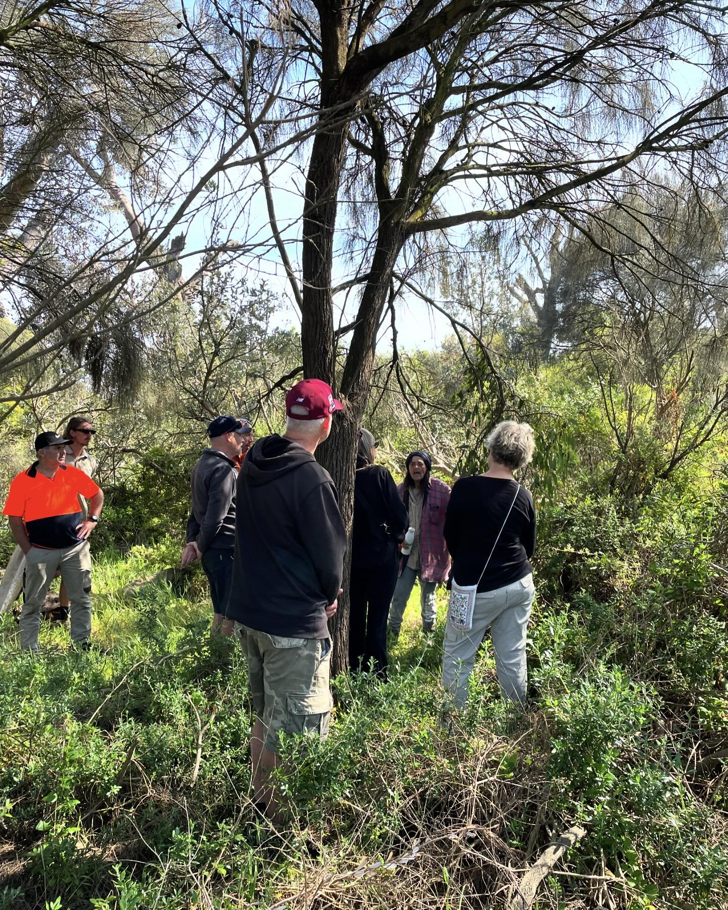 Gidja Walker finding new plant species on our nature reserve this morning. 

Thanks to the Friends of Capel Sound Foreshore for joining the walk and talk followed by morning tea in the sunshine ☀️