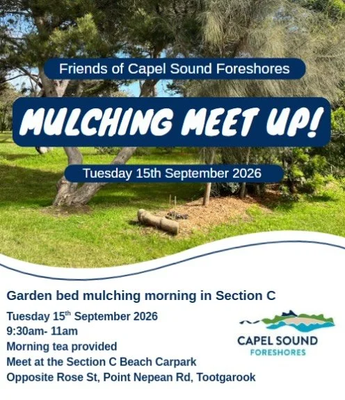 Join us again for our September Friends of Capel Sound Foreshores working bee! 🐝 🌱
This month we&rsquo;ll be mulching and revitalising the garden beds through the campground in section C 🌿🍃
&nbsp;
📆 Tuesday 15th September 2026
⏰ 9:30am- 11am (fo