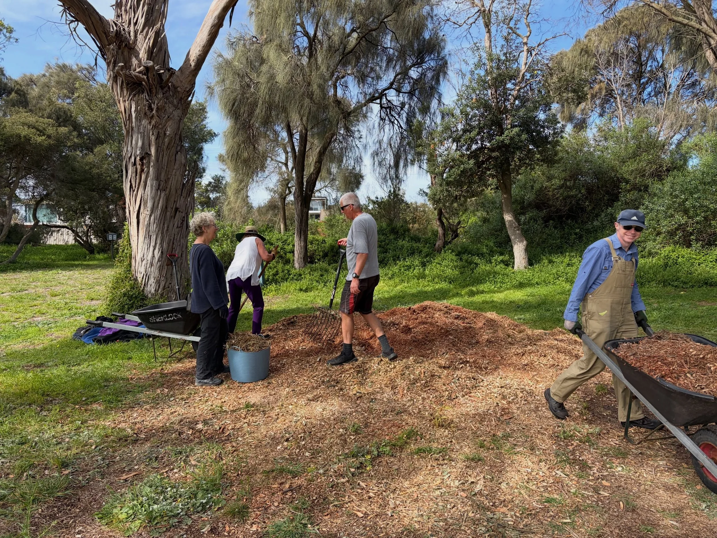Mulching Morning complete!! 

Another fantastic morning with the Friends of Capel Sound Foreshores!! 

The garden beds are looking brand new thanks to everyone that came down and got involved! 🌿

See you all next month!