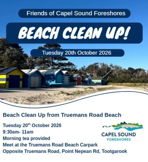 October Friends of Capel Sound Foreshores working bee! 🐝 

This month we&rsquo;ll be meeting at the Truemans Road beach carpark for a beach clean-up, picking up litter and anything else that doesn&rsquo;t belong on our beach! It will involve walking