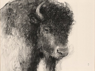 Wild Sketch Calm 63x47 $1340