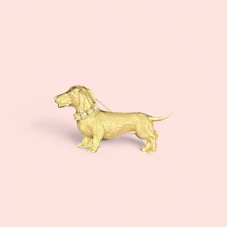 'Douglas' The Golden Dachshund