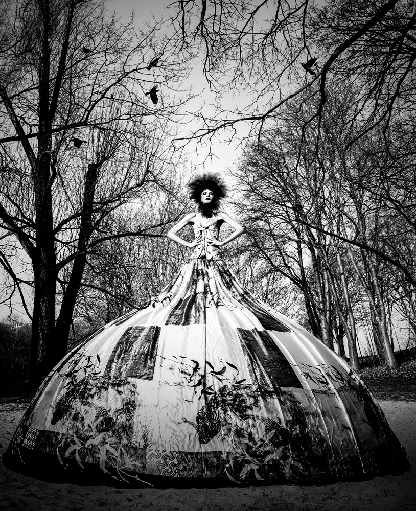 renata traupe_artwork_complementary world-03.jpg