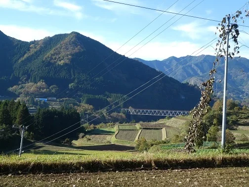P1030896re.jpg