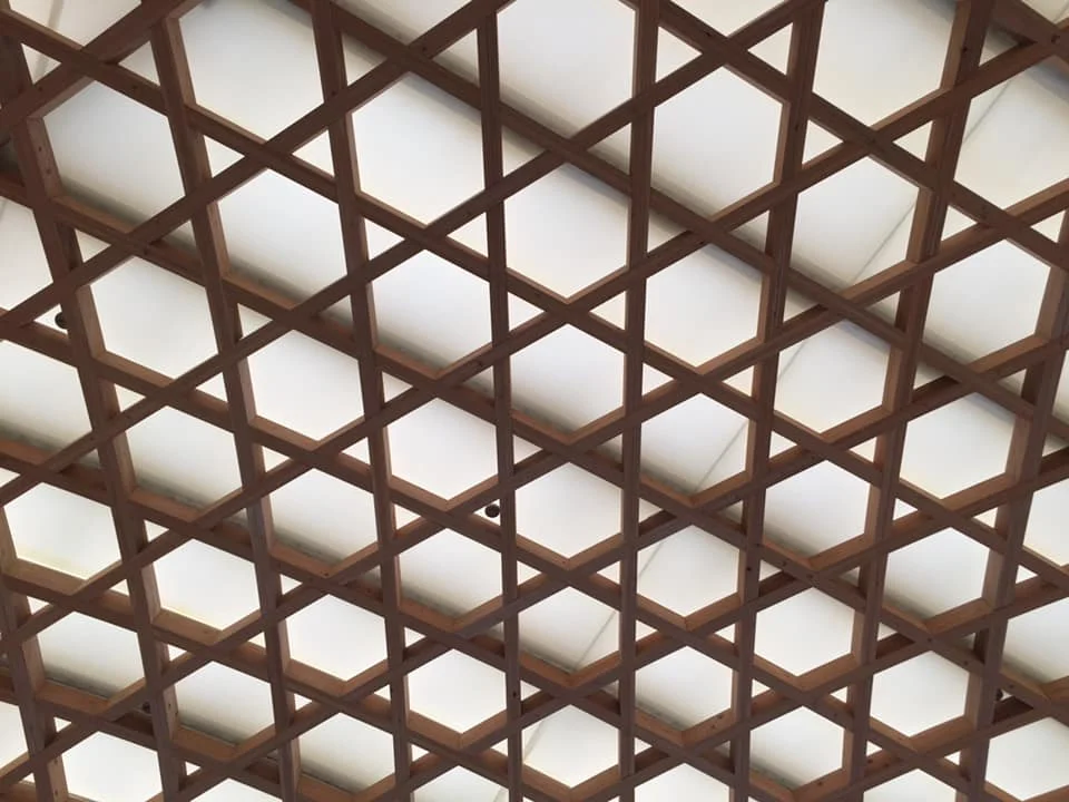 58445004_2176354119112557_7713378418821169152_n.jpg