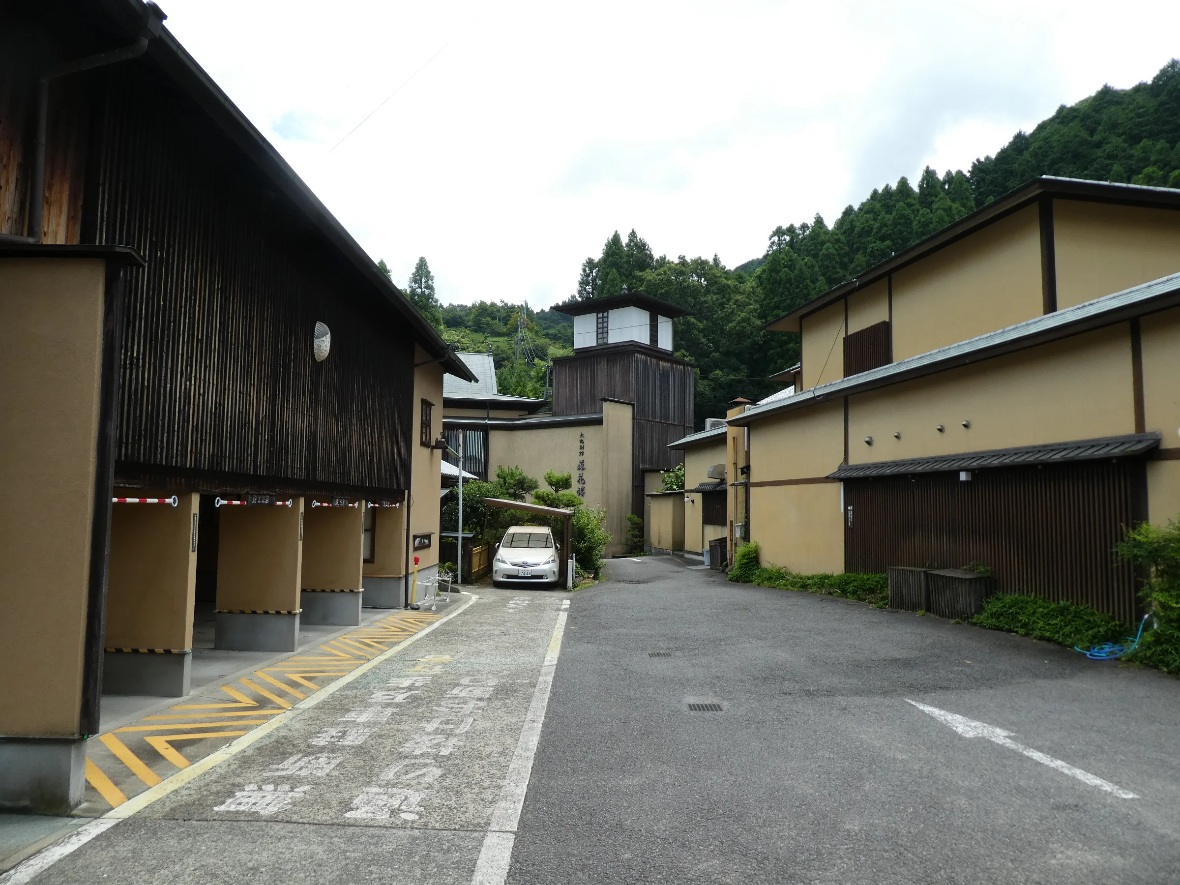 P1050276.JPG