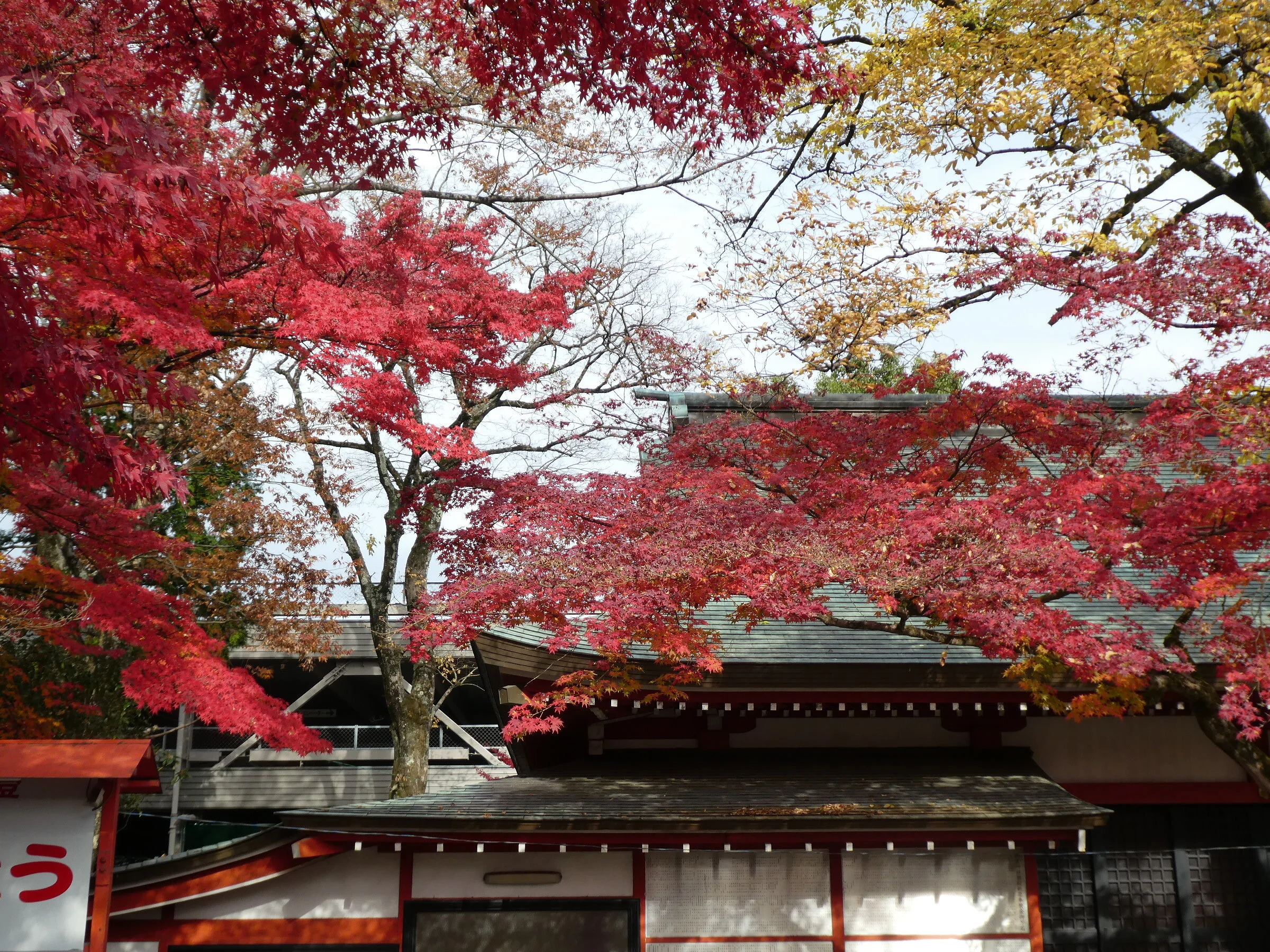 災害に備える住まいづくり　最終回