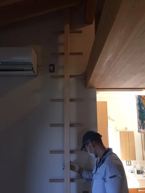 イレギュラーをレギュラーに