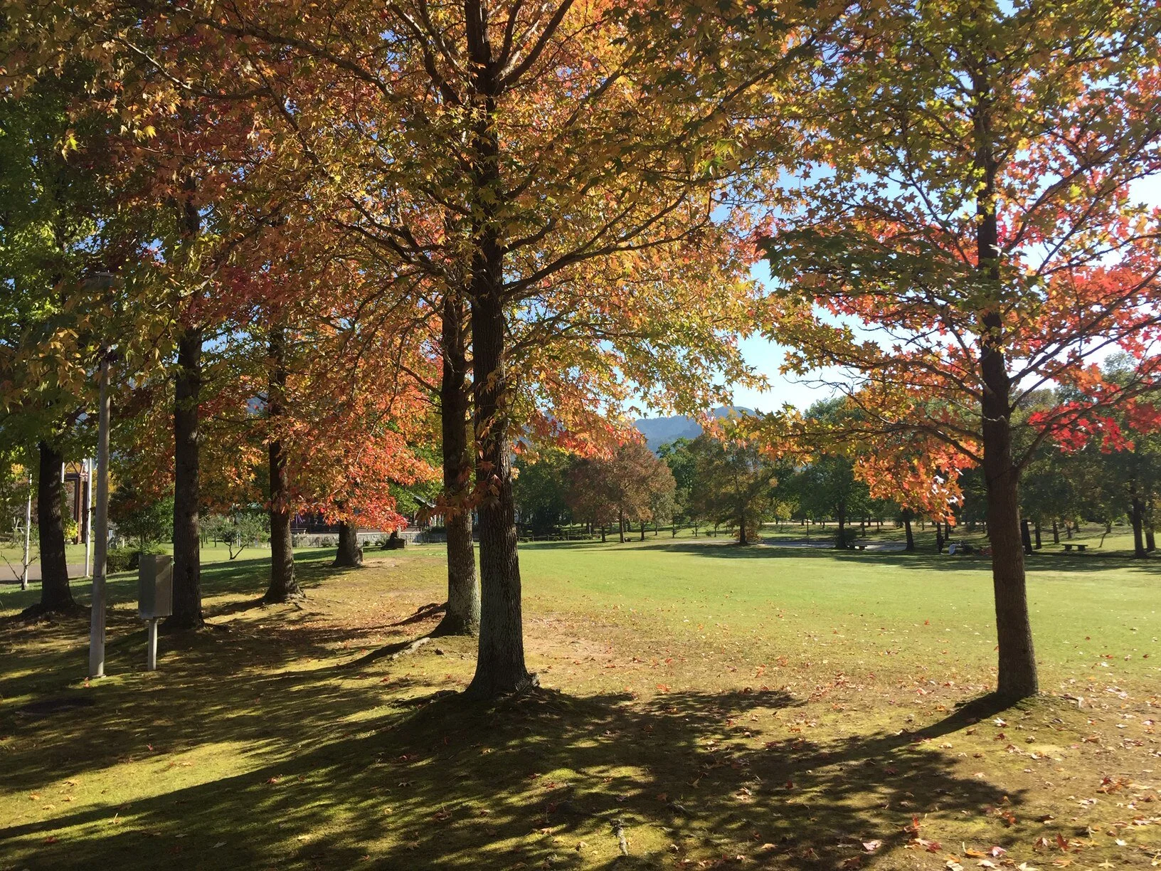 毎月第一土曜日は、無料オンライン相談の日