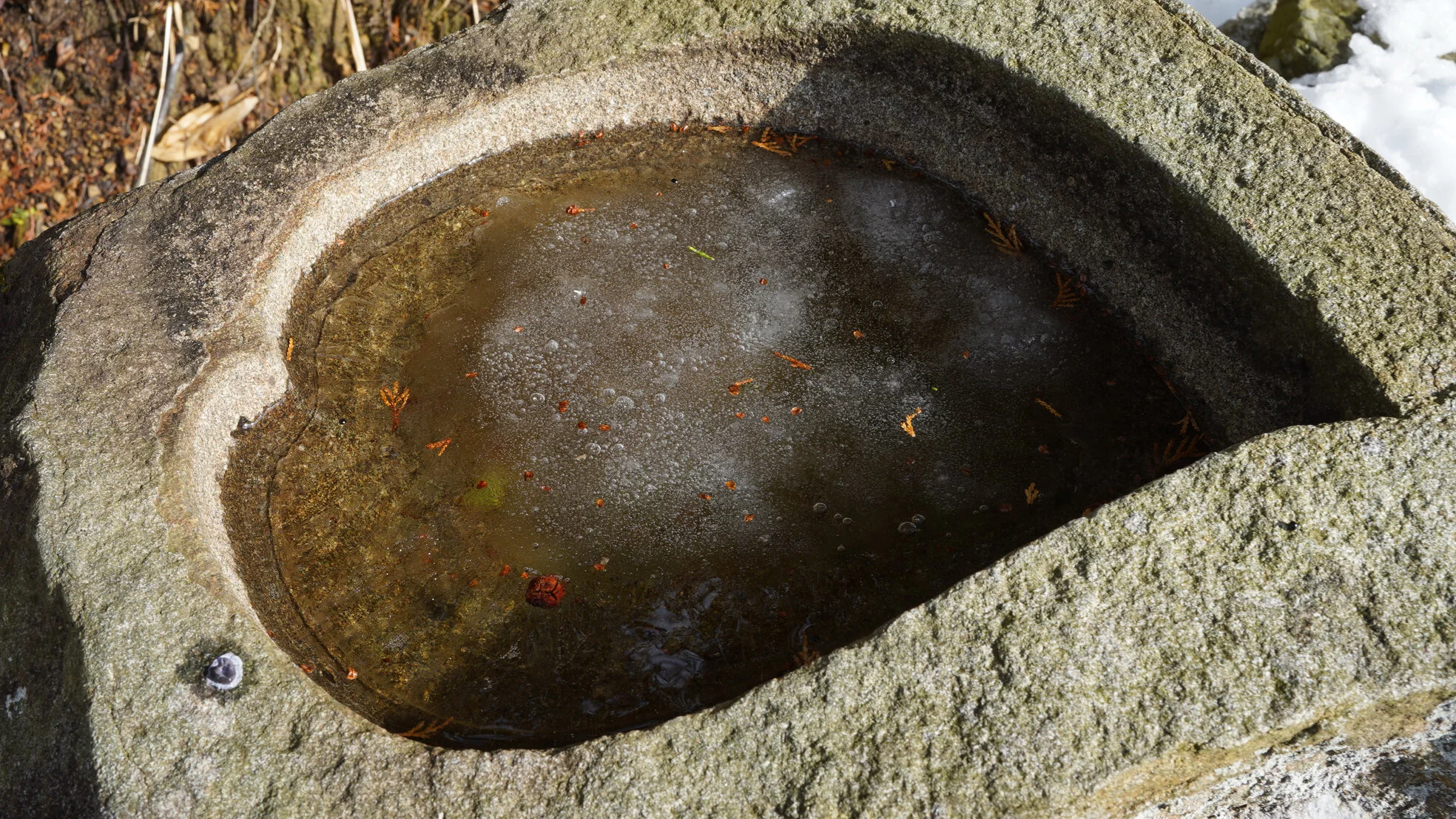 あけましておめでとうございます