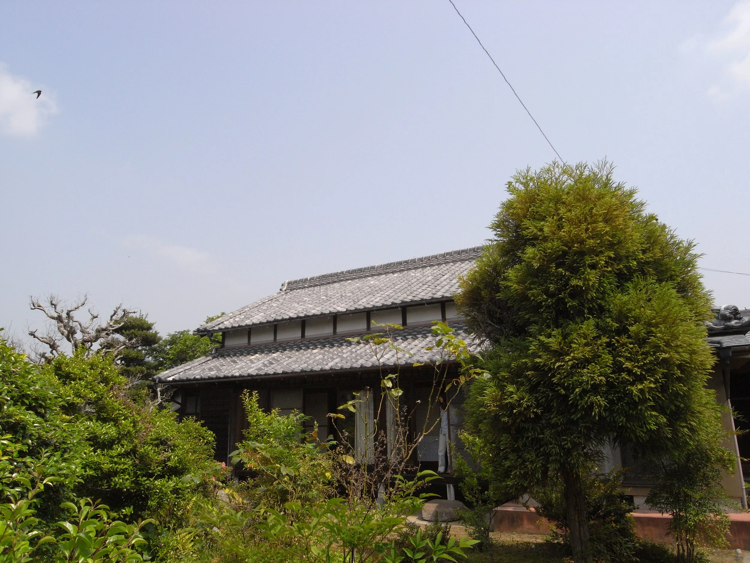 R0028481.JPG