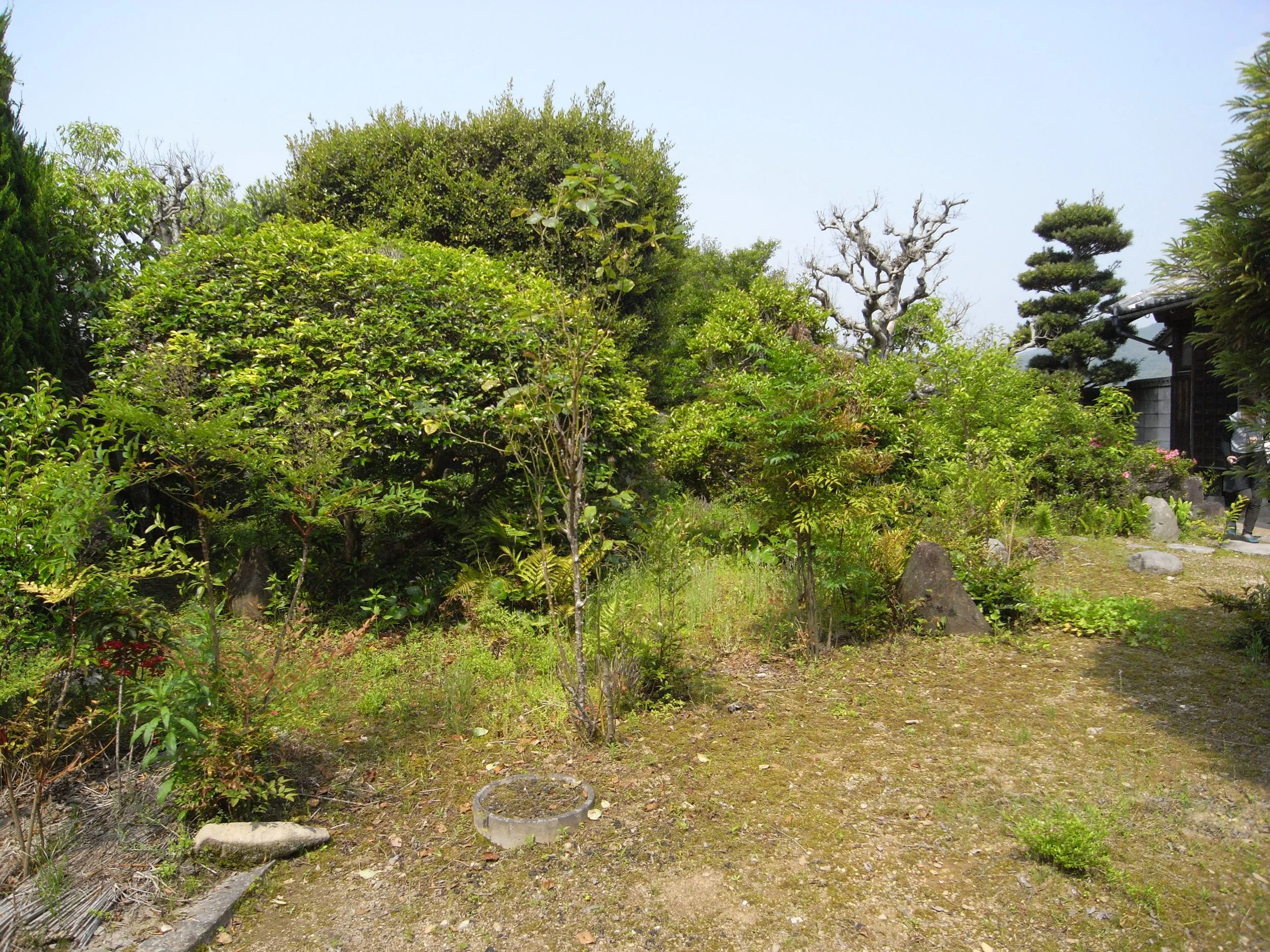 R0028452.JPG