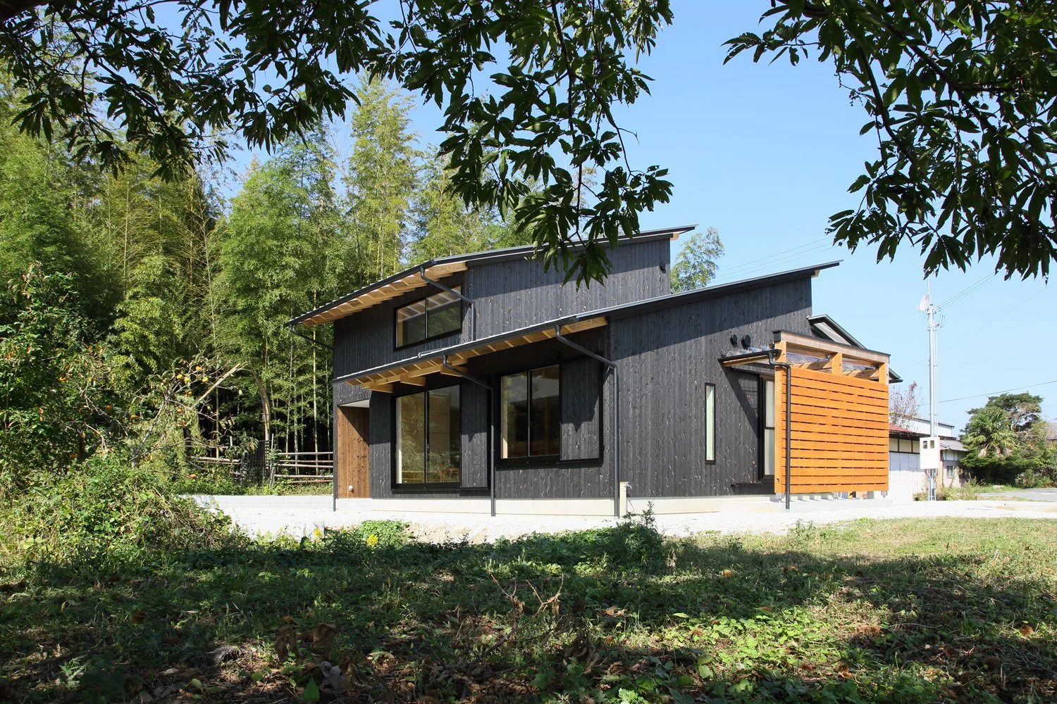 木々の向こうに黒い外壁に二層の片流れ屋根の建物