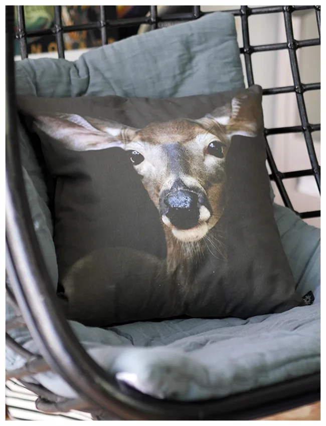 Cuckoo hanging chair with cushion.jpg