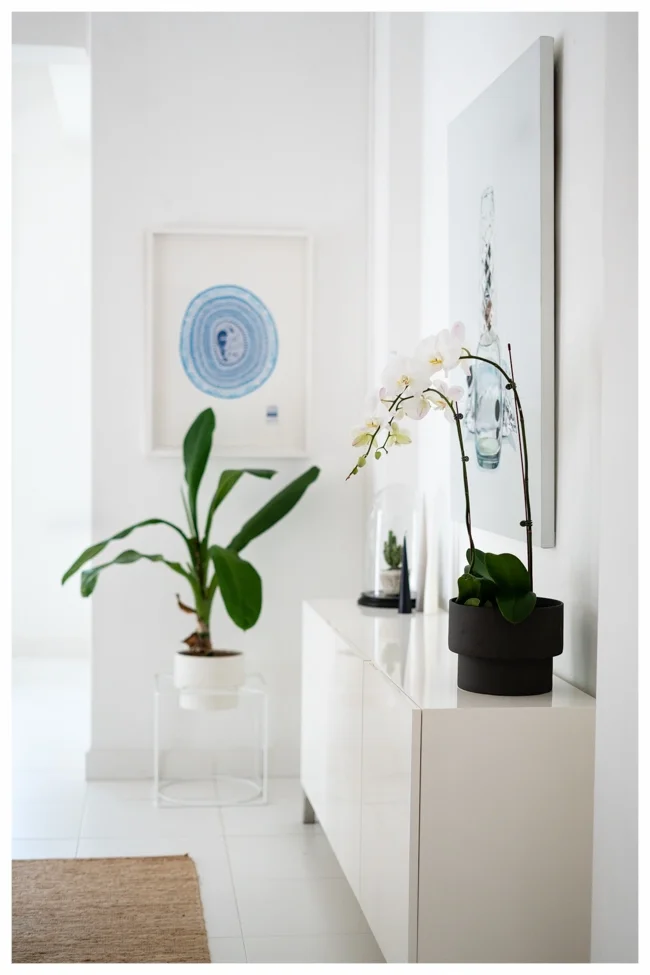 My home-3.jpg