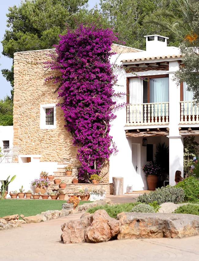 Ibiza guide where to stay.jpg