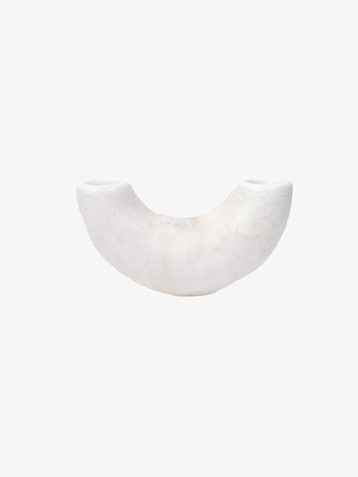 Dinosaur Designs Horn Vase Small White.001.jpeg